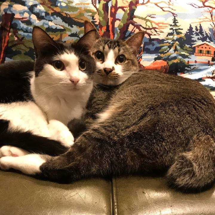 25d385da 03a8 42ae 9be6 01c00e6be6e4 1527420221146