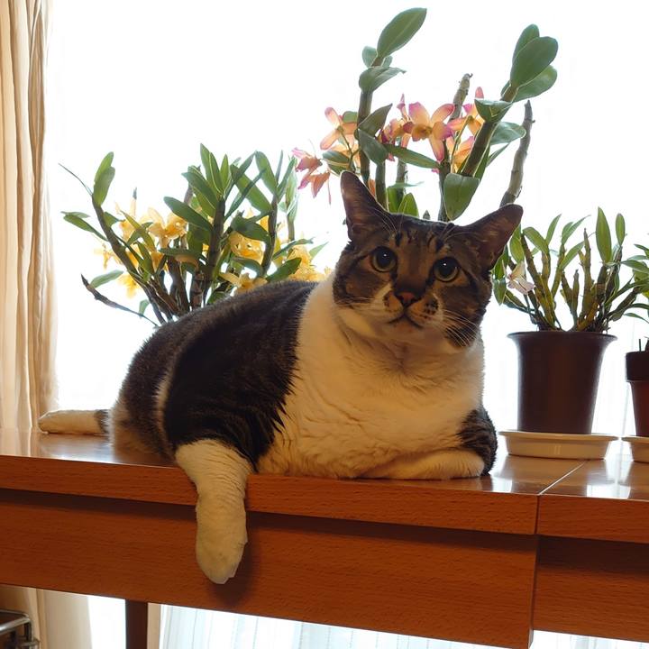 25d39759 17e2 4d90 a88e 3468825499f3 1615174793280