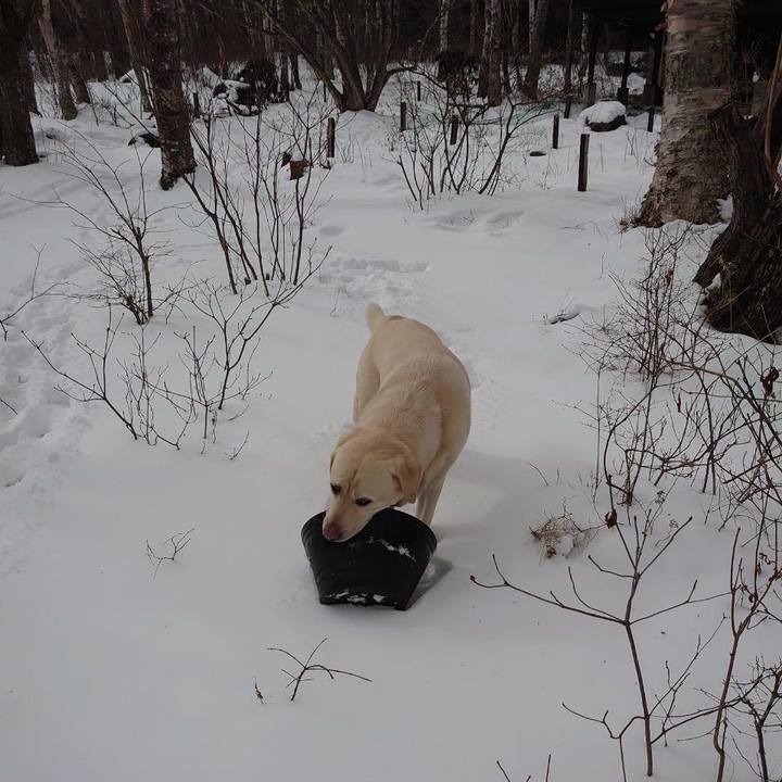 25d3afc2 4494 4683 b64b 63505f8e3e7a 1640759709362