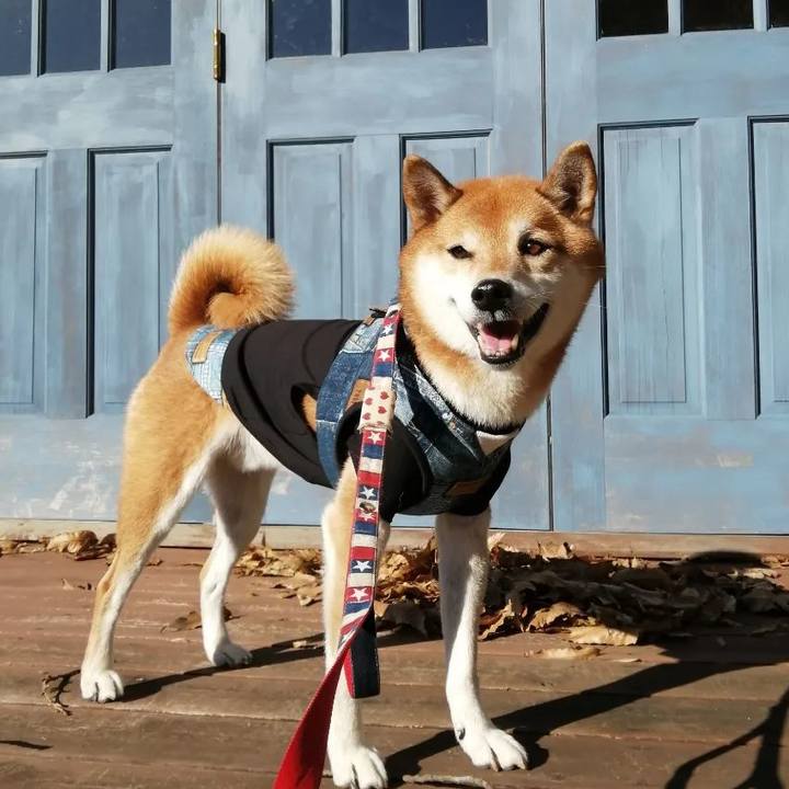 25d3bbd8 6ae3 4c94 b0e7 385e6687ac3e 1669607551202