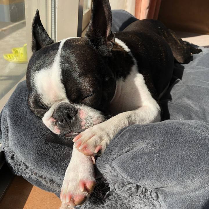 25d41d75 eb40 4536 b9e4 cc4f3b80fde5 1553482918907