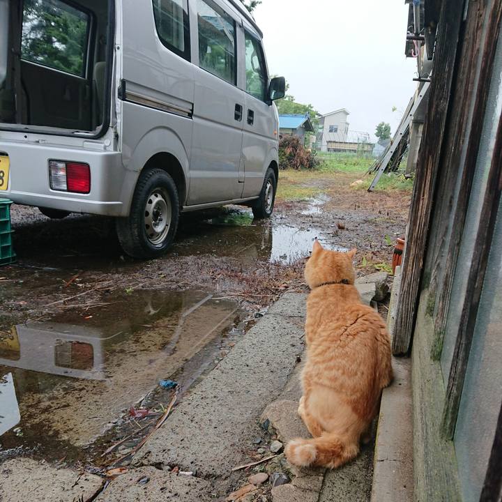 25d41d90 37cf 4da6 ad79 4fb6db370511 1658441454631