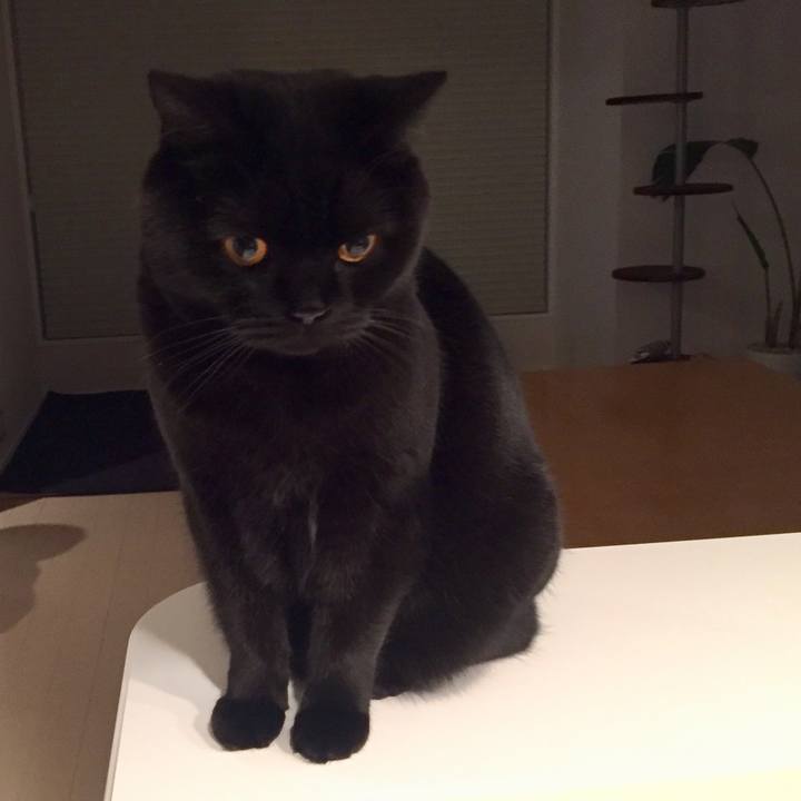 25d46730 14b5 49bb b369 2efe38d68bef 1582985518460