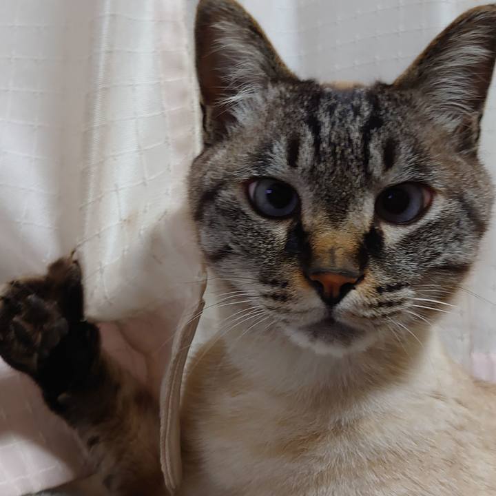 25d4e52e 792b 407e ad2e e53e175c990c 1653220282504