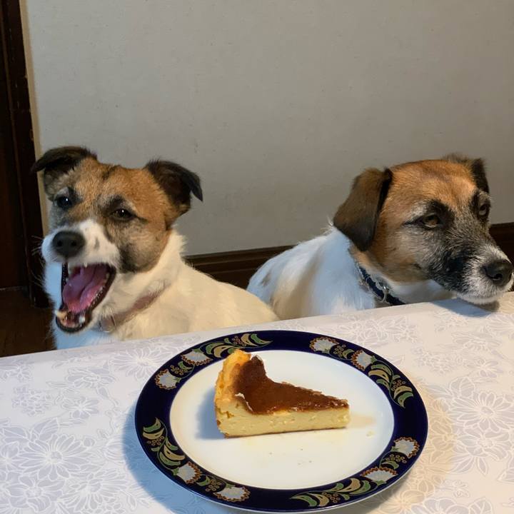 25d4f0c8 5275 4879 a048 21fb8cc4083e 1589199834882