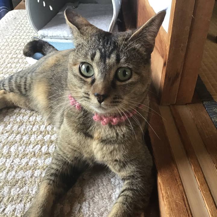 25d551f4 ceab 4b83 a088 93ab42208a3a 1589166678415