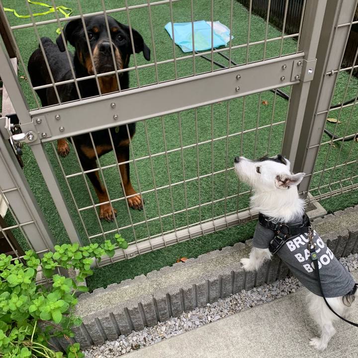 25d55c0a fa23 434f 9cef a2a5488a18f1 1729381260642