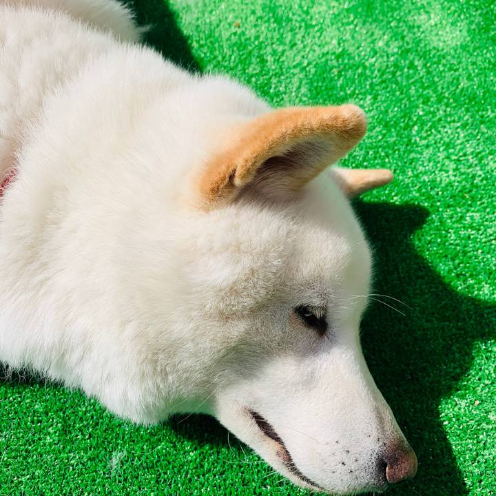 25d55c16 b519 487f a351 9c419757806f 1586847831029