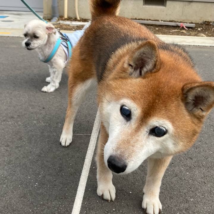 25d57407 7d44 49a7 a32f 73aea30f8599 1719400259061