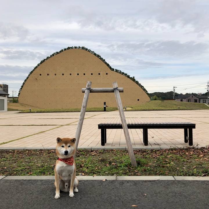 25d5c70d 701c 4508 af38 825d3c6a6471 1542095973846