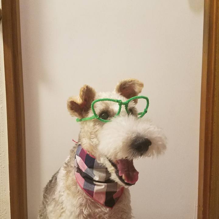 25d6148e 80d0 44b2 9c84 66a1a8612b46 1567950706871