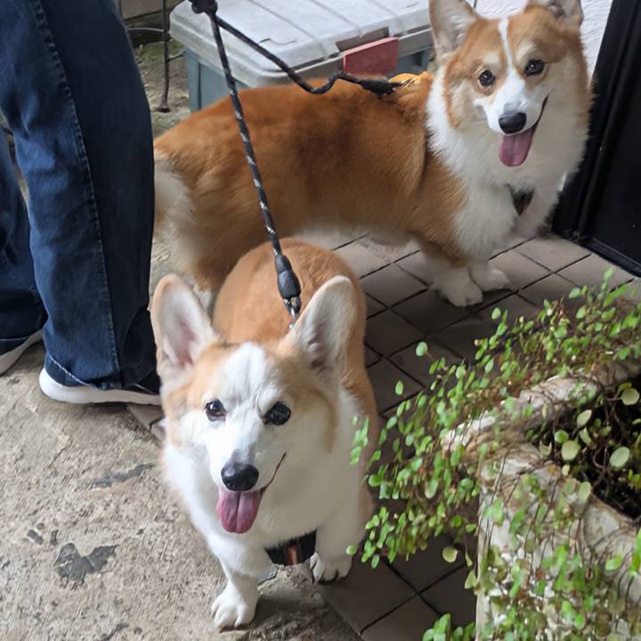 25d61b06 ec2d 4324 8128 cdb3316052fd 1761181411510