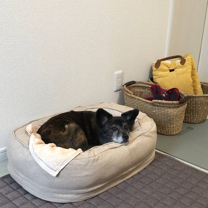 25d627f3 f2c9 4382 9f21 b19ea5ac6b37 1683462339851