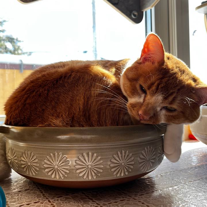 25d62cf6 ab88 4f0e bdbb 3b21da1975d2 1709179262136