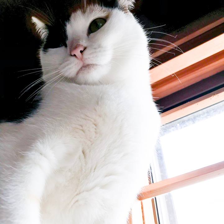 25d63aa0 7e01 487e 9dd5 d48112c6cd88 1514594827345