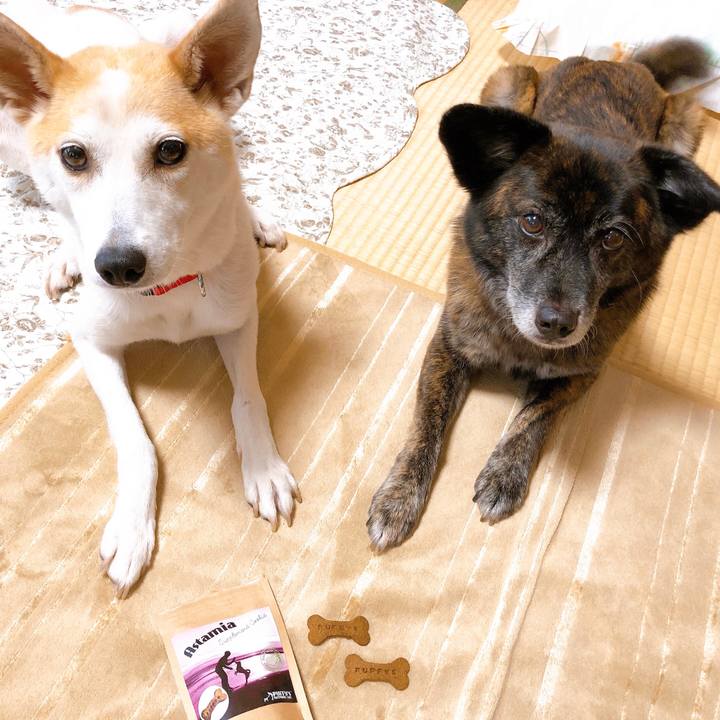 25d64b5e 1f7c 431f 845b b40b352d569c 1594339499197