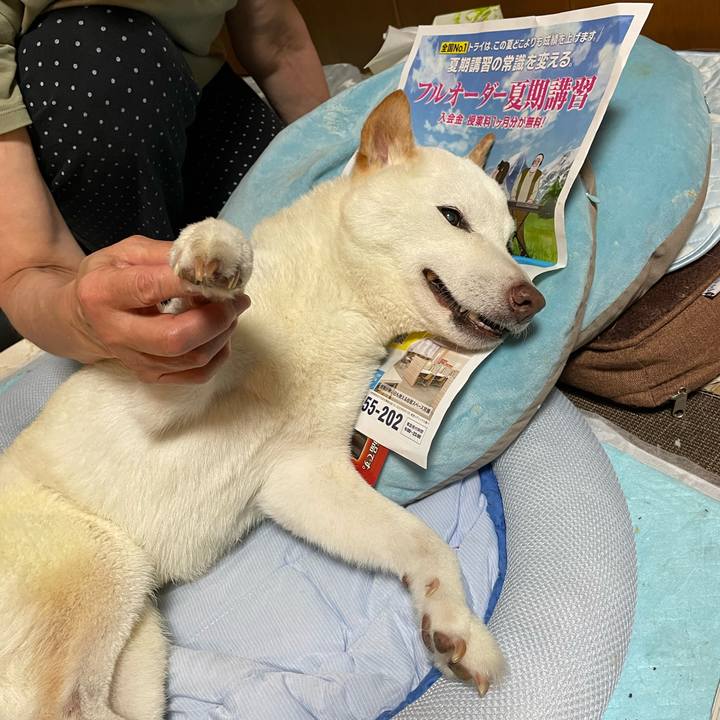 25d65d92 bc7d 47a4 b898 434dab84236b 1657008798741