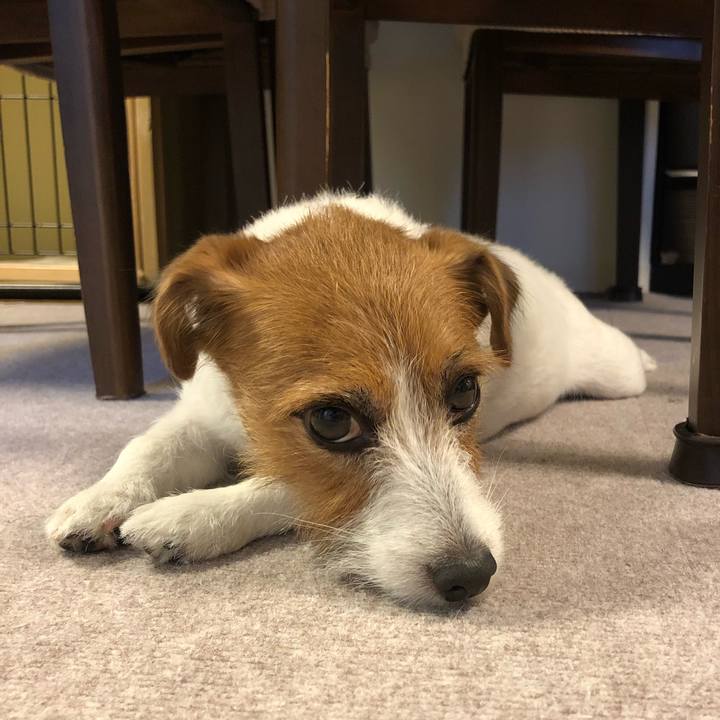 25d67adf aade 4746 804b b66e43943022 1563190709143