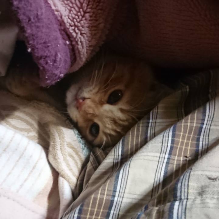 25d686fb 624b 427d 87cf fe29ed66fcd6 1637874167944