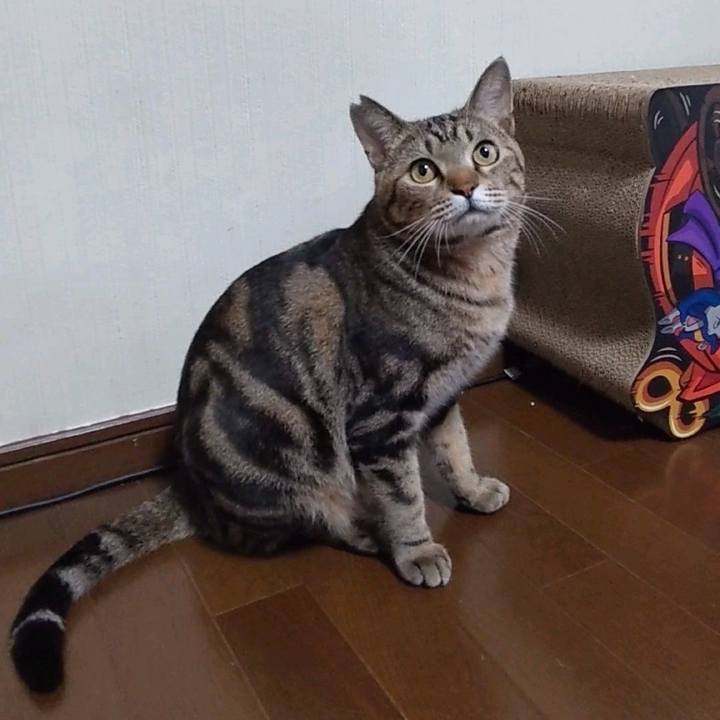 25d68c49 c5b2 4e62 bd78 ce2940df1772 1702456957028