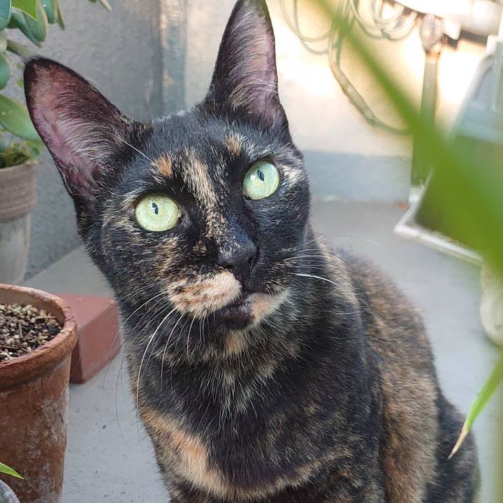 25d6a233 03ff 4125 8cba c7b00f74c5fa 1759356097327