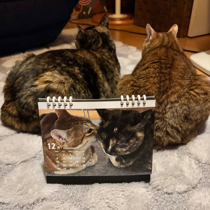 25d6a8a2 5330 43a6 a3f3 05c4e5d2454a 1767178559415