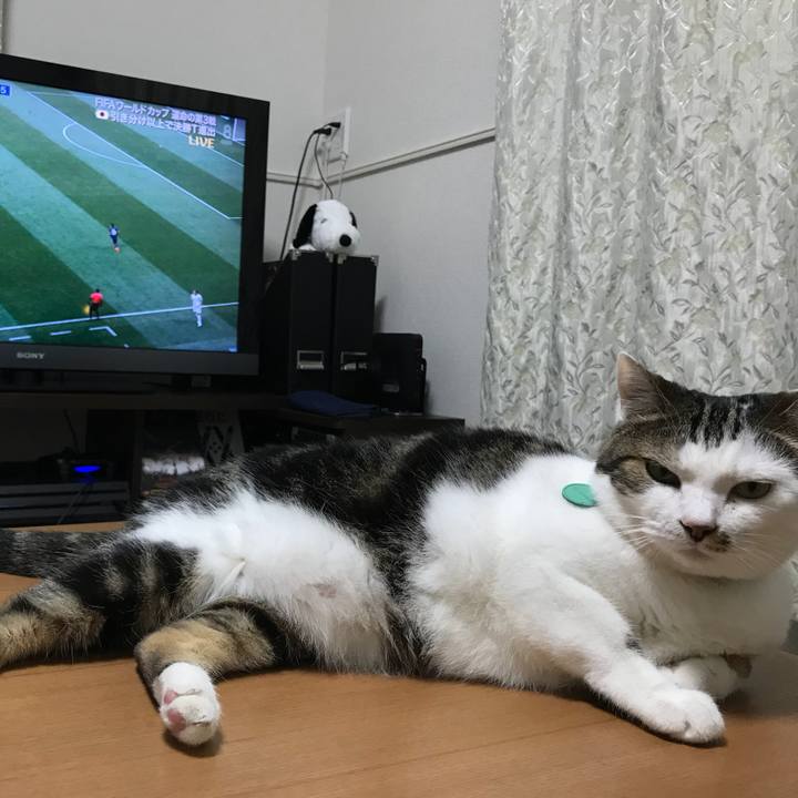 25d6adad 01e3 46d7 b7bd 8995c3cbf875 1530270456332