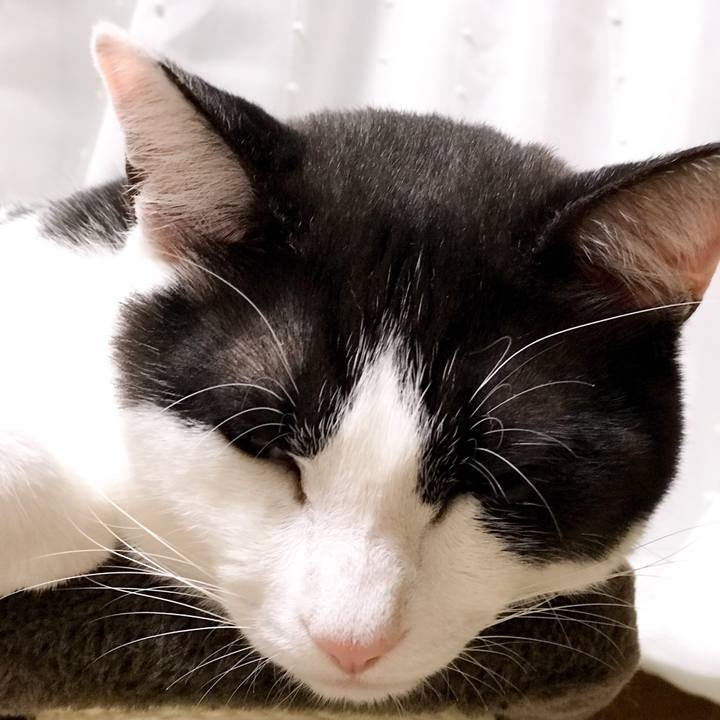 25d6b95b 4a8b 4010 abf7 900a607c2fcd 1527948453475