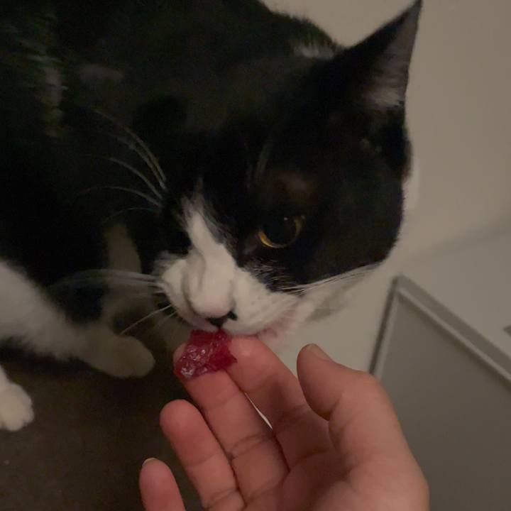 25d6ce7d 53b7 4ac0 ac68 3372b23e05bf 1708257004768