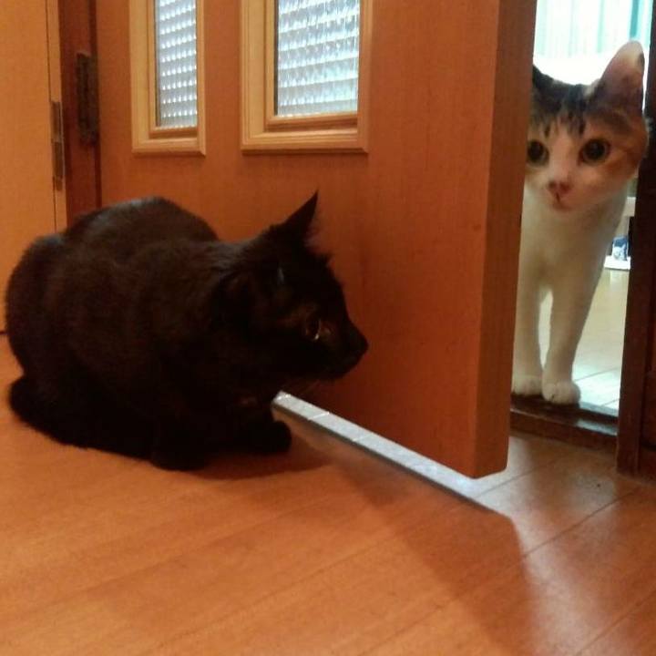 25d6df70 7aea 4976 9e03 3c621bc9a590 1595504836554