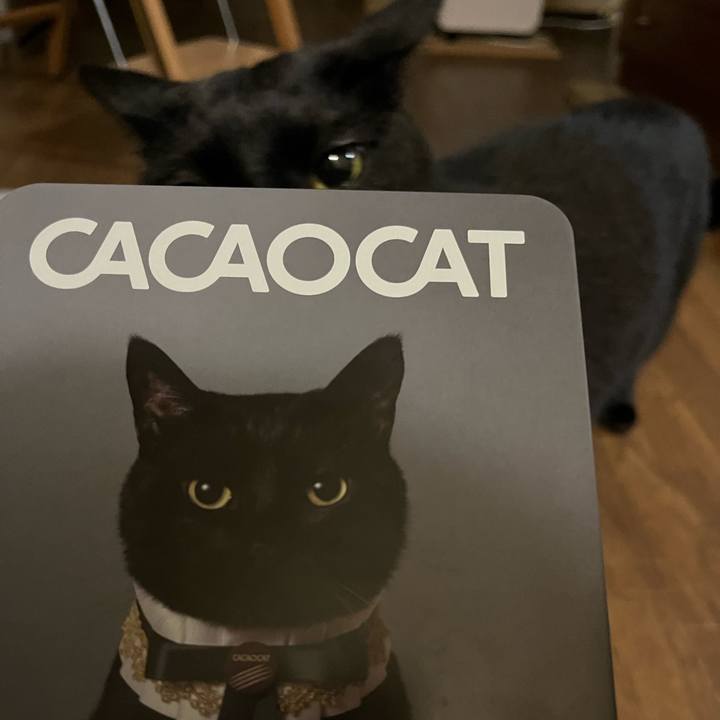 25d72de4 6bc4 40fb 901a 89d4cc8e76ac 1719618153239