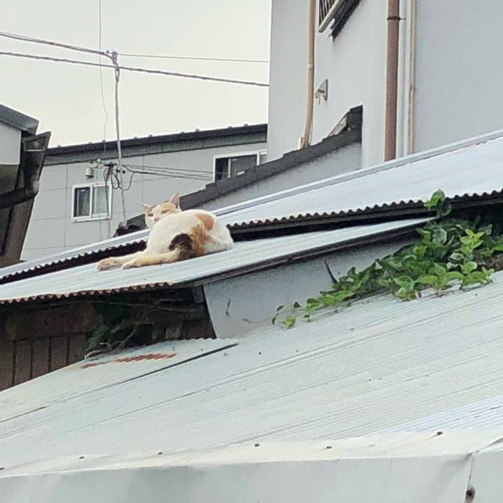 25d75536 38bf 4888 a9c1 93b651bb909e 1527776932698