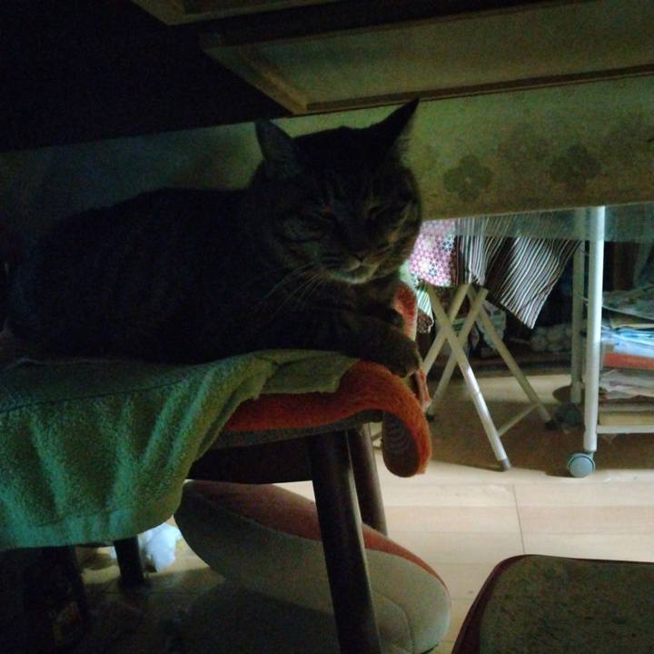 25d793a6 b354 4887 82c0 ed598194dc64 1708119414301