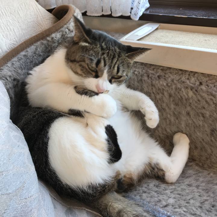 25d7a7ee c61f 432d b049 17efe9503430 1515641648068