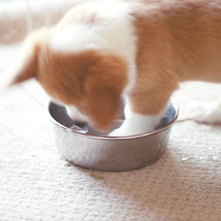 25d7d5ff cd8e 40d7 b2d8 aae1e92b1241 1765341091722