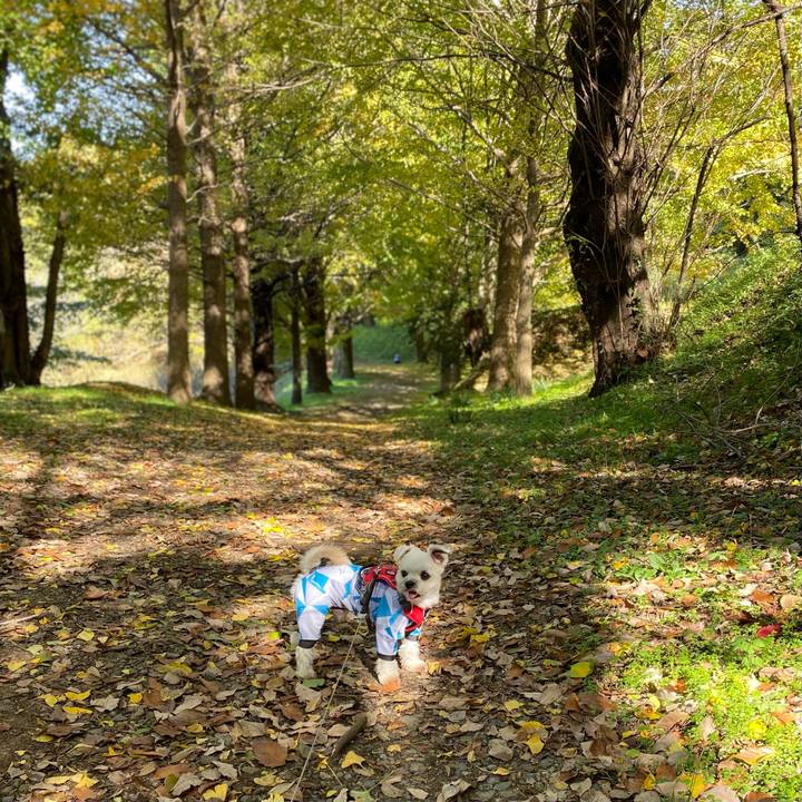 25d7f8bc 7752 469a b971 72a0b321a254 1605944919302