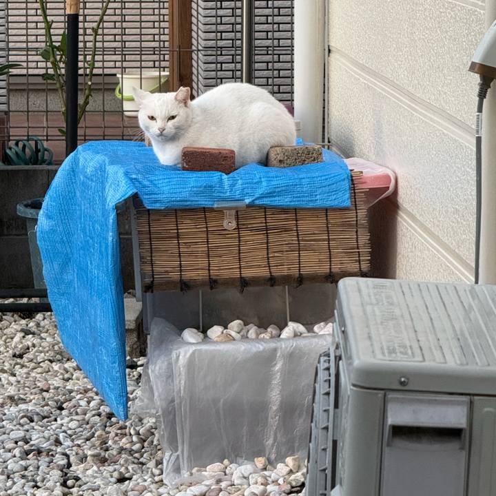 25d81acc 52cd 455f 8fe4 0f80864b4d54 1758853703827