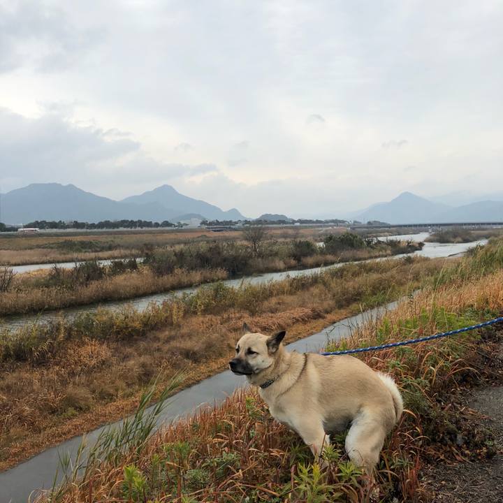 25d839d6 9d39 44a4 91ff b02b8e34133a 1547966985384