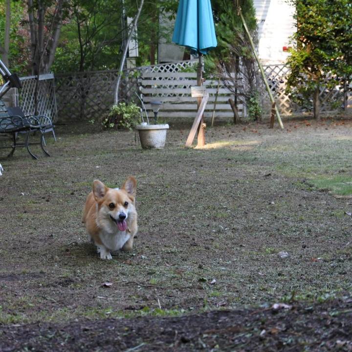 25d85a52 a52c 4487 b738 84ed4283039b 1525155663101