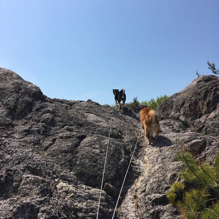 25d85c34 2bd5 4e3b a801 af5eeec3f4cc 1619237376753