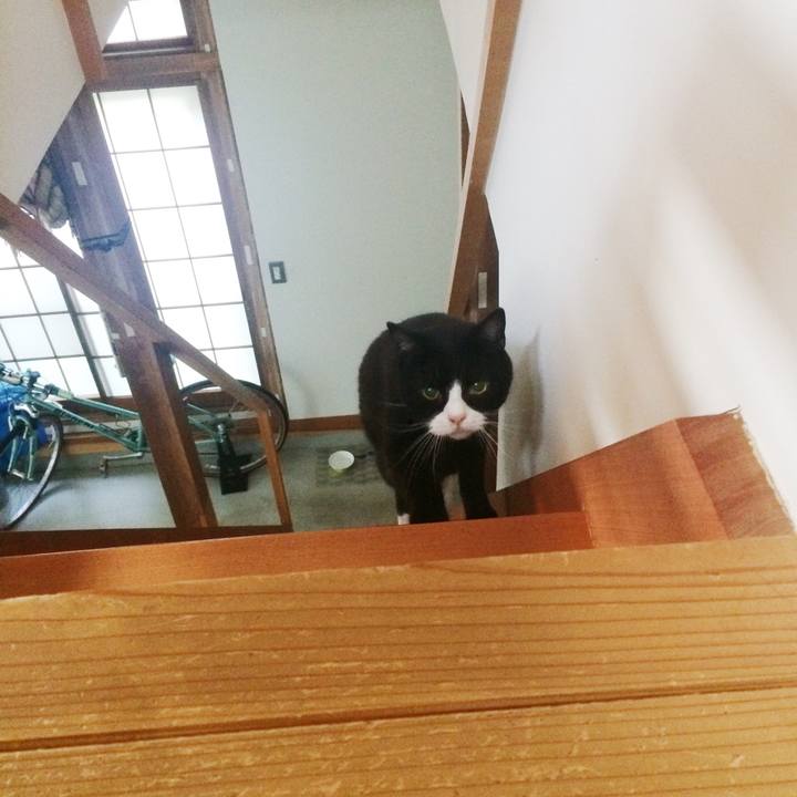 25d86604 8c43 48d6 aa09 c0c9d4bffd70 1562113166185