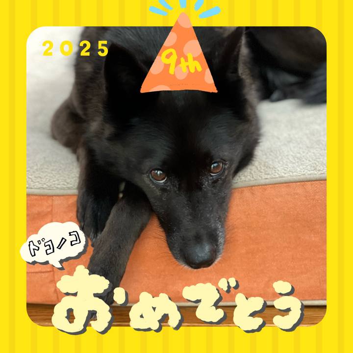 25d86874 a6e0 4fd2 8ec6 363cdfa47a3c 1749115816665