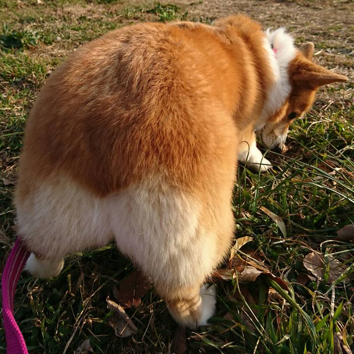 25d86dd4 8e8a 4499 ac53 b2444122ddc1 1551166181964