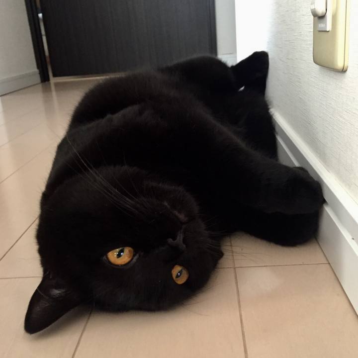 25d87a80 c89d 409d 9ff3 468b02e3331d 1531870830438