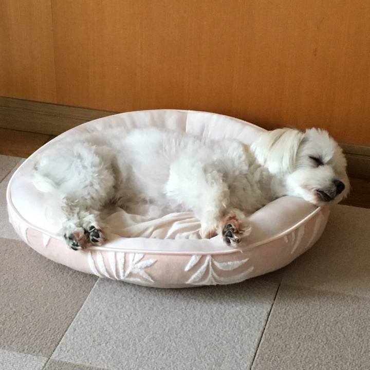 25d8fa88 0236 4267 a65d 33f90226f442 1597292392262