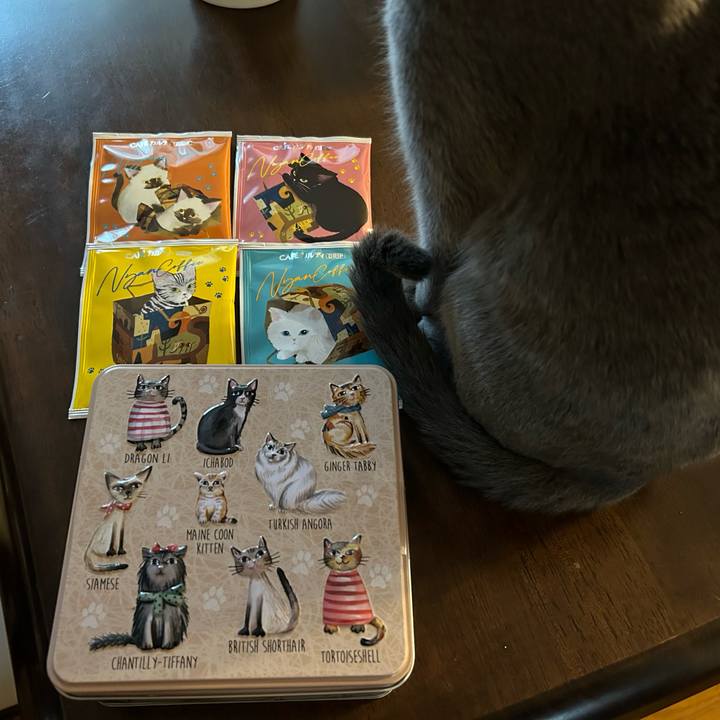 25d91d02 8391 415e 9842 efae1b4e4435 1708325214432