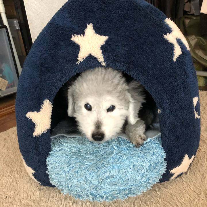 25d92629 867c 45f5 a5cd 7876ede8091b 1616371248960