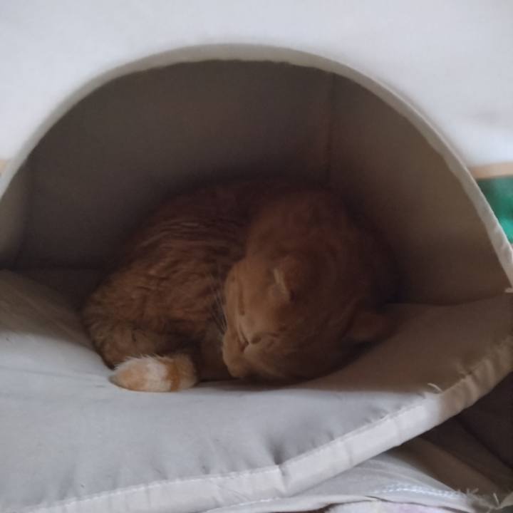 25d93ef5 0c4f 4866 81d7 23524840dd30 1677330459910