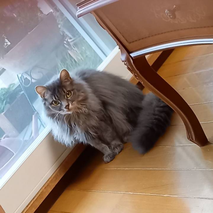 25d940ed dae2 4f33 a37d 064fcdeb9c3a 1622844351031