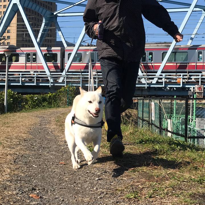 25d961f0 06d6 41a3 b837 26dcda82241a 1543123255896